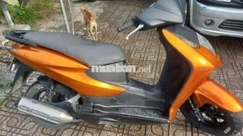 Honda Dylan màu Cam