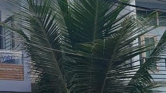 Bán nhà Mặt tiền Thạnh Xuân 43, DT 4x21, 3 Tầng, Giá 6ty3 thương lượng