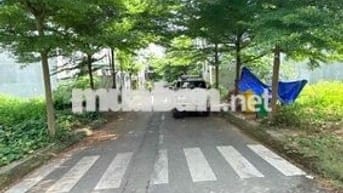 Cần bán lô đất ngay Cầu Tân Triều, shr full thổ giá 1 tỷ 250tr