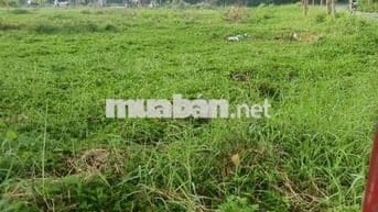 Siêu Phẩm Gốc 2 Mặt Tiền Đường Nhựa Bùi Văn Sự