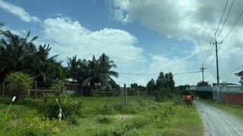 Đất 2 mặt tiền 15*53 đường 577