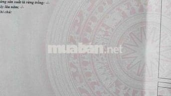 đất vườn tại thanh bình trảng bom