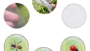 Lưới chắn côn trùng Israel 50 mesh - Bảo vệ vườn rau, bảo vệ công sức