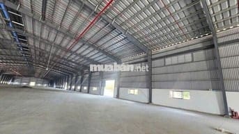 Xưởng 5.000m² Cao 12m Phù Hợp Xi Mạ KCN Phú Mỹ Giá Thuê Tốt