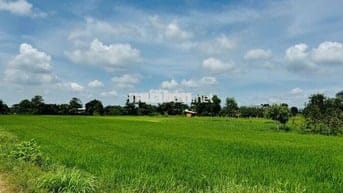 ✨ BÁN ĐẤT NÔNG NGHIỆP CÓ SỔ 1527 M2 TẠI TÂN NHỰT–BÌNH CHÁNH-TP.HCM ✨