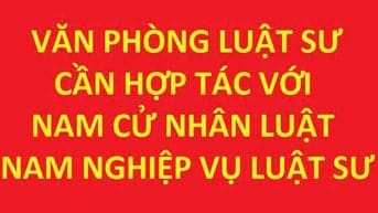 VP Luật Sư cần hợp tác với nam cử nhân luật hoặc nam nghiệp vụ luật sư