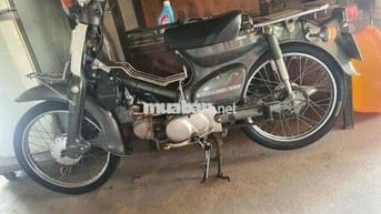 81/70cc xe zin máy êm,cà vẹt mình đứng tên