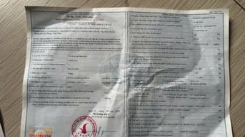 Tìm giấy tờ xe máy điện Vinfast