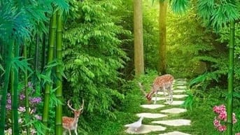 Tranh gạch 3d phong cảnh đồng quê - SKMN5