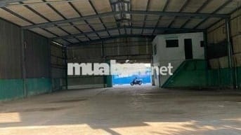 cho thuê kho xưởng 1500m2 sạch đẹp giá mềm