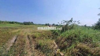 BÁN 7 LÔ ĐẤT LIỀN KỀ, THUẬN HÒA, TX. GÒ CÔNG – TIỀN GIANG