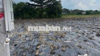 202m2 thổ cư ,đất đô thị gần KCN Gia Thuận, 490,8tr ,bao sang tên ,oto