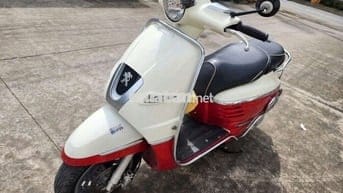 Peugeot Django 125cc Xe Nhập Zin bstp chính chủ