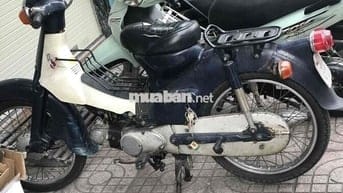 Honda Cub 50cc Xanh Trắng