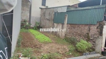 ĐẤT ĐẸP ĐẠI MẠCH ĐÓN SÓNG ĐẦU TƯ CẦU THƯỢNG CÁT