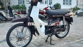 Xe dream Hàn Quốc