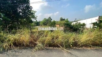 Bán Gấp Lô Đất Tại Tân Định Bến Cát 700m2 Thổ Cư 320m Nhựa 7m Giá Ngộp