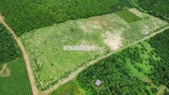 CẦN BÁN GẤP TRONG THÁNG - QUỸ ĐẤT LỚN B’LA 1,3HA - GIÁ ĐẦU TƯ