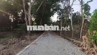 Chính chủ bán đất 6473m² ngang 72m giá 9.8 tỷ Xã Phước Thạnh