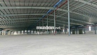 Xưởng mới 100% – Quy mô 50.000m² KCN LONG AN (TÂY NINH MỚI)