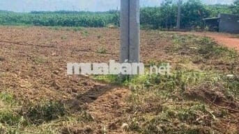 Đất Vườn Xã Phước Thành ,TP HCM 1174m2 giá chỉ 800tr