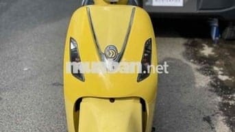 Attila Elizabeth 2009