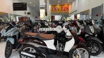 ZIN CỌP - Mio Classico - Zin Nguyên Con Cực Êm Đep