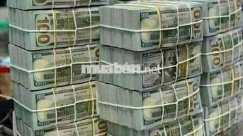 Cho thuê nhà đường 65 dt 12x20m