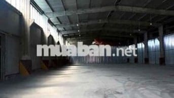 Kho đẹp diện tích lên đến 1000m2 cần cho thuê gấp ở Nguyễn Văn Quỳ