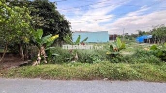 BÁN NHANH LÔ GÓC 2 MẶT TIỀN GIÁ 840TR - 343M2 TÂN THÔNG HỘI, CỦ CHI