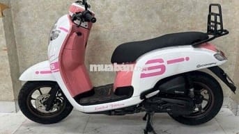 Scoopy trắng hổng siêu đẹp 43E1-543.43