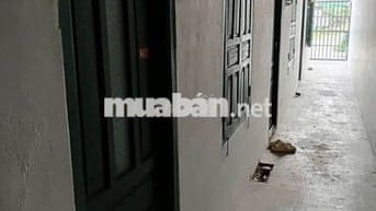 Bán dãy trọ 5 phòng SHR 139m2 Củ Chi 780 triệu thương lượng