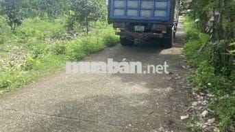 đất nền thổ cư sổ riêng hẻm xe hơi khu dân cư đông đúc