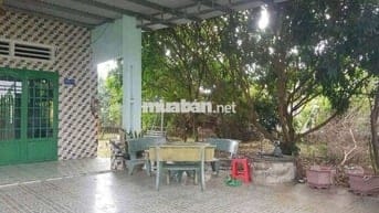 Chủ cần bán gấp căn nhà vườn 3000m² giá như cho 390tr