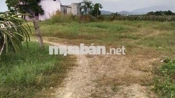 CHÍNH CHỦ BÁN ĐẤT HÀM THUẬN NAM BÌNH THUẬN