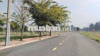 Đất nền dự án Khu Dân Cư Đức Phát 3 giá siêu hời