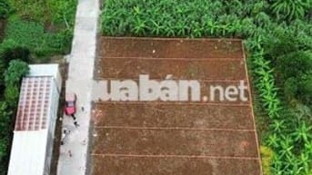 BÁN ĐẤT SÔNG TRẦU 19 GẦN NHÀ THỜ GIA TÔN CHỢ SỐ 9