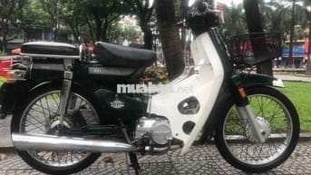 Cup 50 cc Korea 43 Đà Nẵng