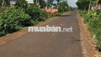 BÁN ĐẤT CỰC ĐẸP ĐƯỜNG NHỰA THỔ CƯ PHƯỜNG KHÁNH XUÂN