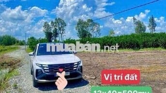 💥💥💥500mv 390tr mặt tiền rộng  👉Đất vườn XÃ BÌNH ĐỨC, TÂY NINH. (Long A