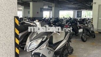 Yamaha Novo 4 2012 Bạc