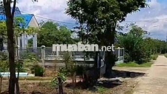 Đất Vườn - Nhánh QL 13 ,ngay 2kcn Minh Hưng