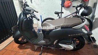 Honda Scoopy