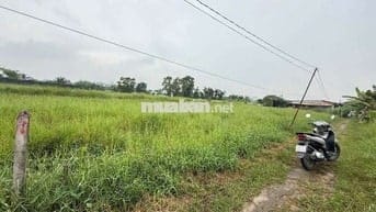 BÁN ĐẤT SỔ ĐỎ RIÊNG. 670M. THÍCH HỢP LÀM VƯỜN, NGHĨ DƯỠNG, TRỒNG RAU .