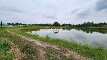 Chủ cần tiền bán nhanh đất lúa, gần đường Cầu Bà Kiểu