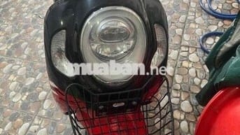 muốn bán lên đời scoopy indo