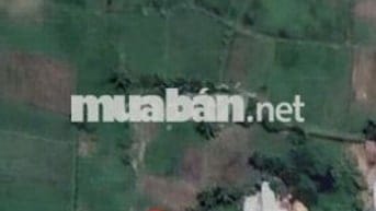 Chính chủ bán đất giá rẻ –Bắc Bình- Bình Thuận 2100m²