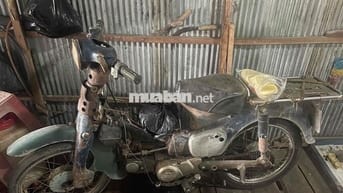 Bán Gấp CUB 50 cc