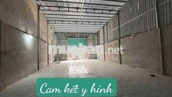 Kho thuê 8×30 Đường 20 Ấp 5 vĩnh lộc B bình chánh tphcm.