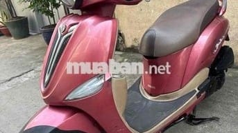 nozza Fi 2013. Màu hồng. BSTP chính chủ công chứng